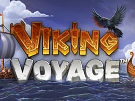Viking Voyage